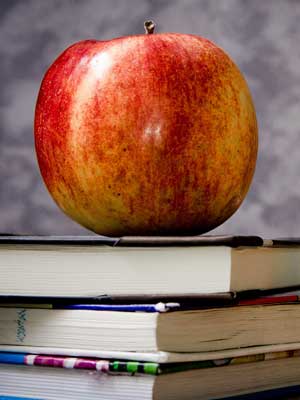 电话狂轰滥炸软件